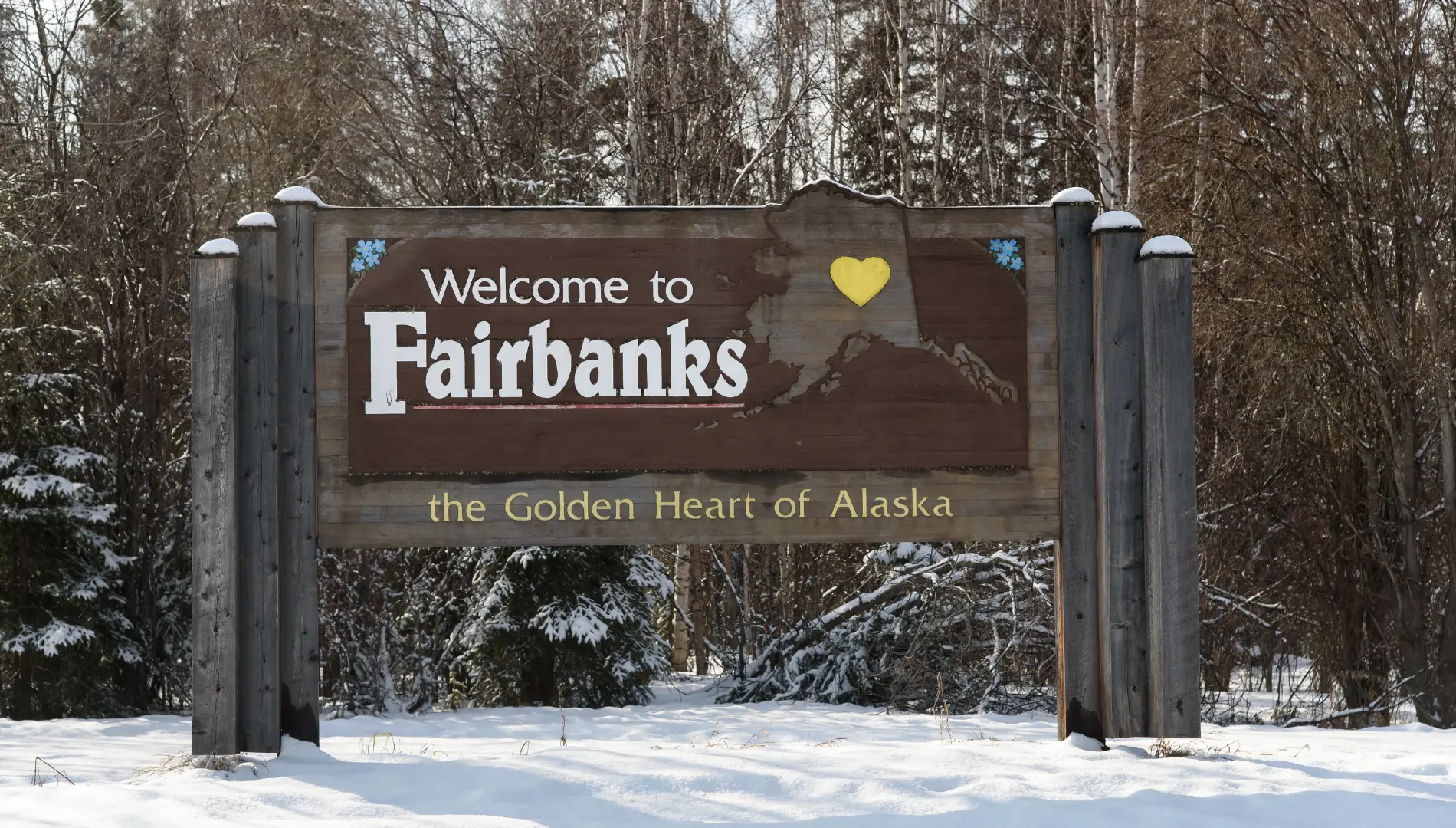 fairbanks bus tour